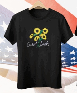 Giant Rooks Pink Skies Tee Shirt