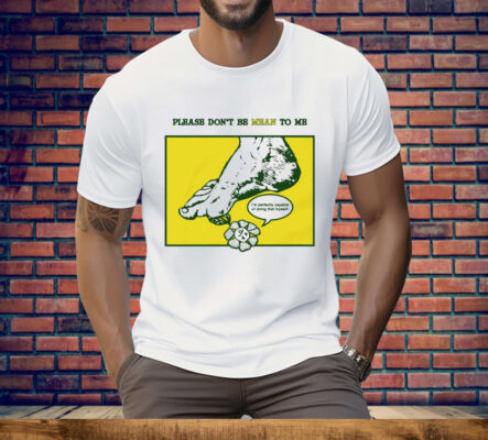 Please Don’t Be Mean To Me Tee Shirt