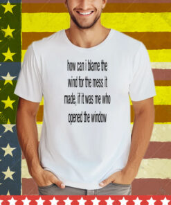 Limted How Can I Blame The Wind For The Mess It Made Tee Shirt