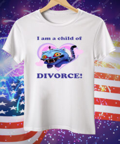 Derpy I Am A Child Of Divorce Tee Shirt