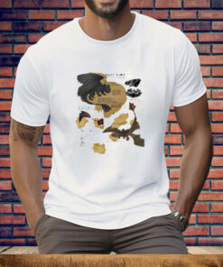 How To Train Your Dragon Night Fury Toothless Tee Shirt