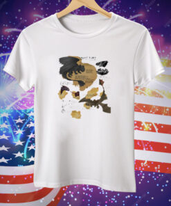 How To Train Your Dragon Night Fury Toothless Tee Shirt