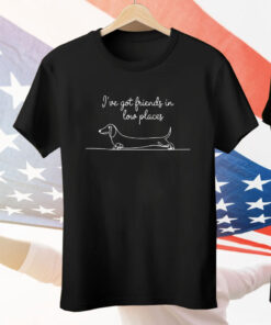 Dachshund Dog Friends In Low Places Tee Shirt