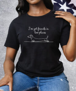 Dachshund Dog Friends In Low Places Tee Shirt