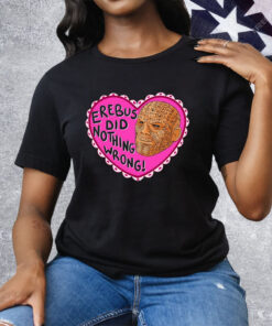 Erebus Did Nothing Wrong Tee Shirt