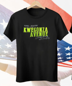 Kwegonza Avenue Celebrating Diversity Tee Shirt