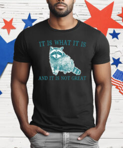 It Is What It Is Raccoon And It Is Not Great Artwork T-Shirt