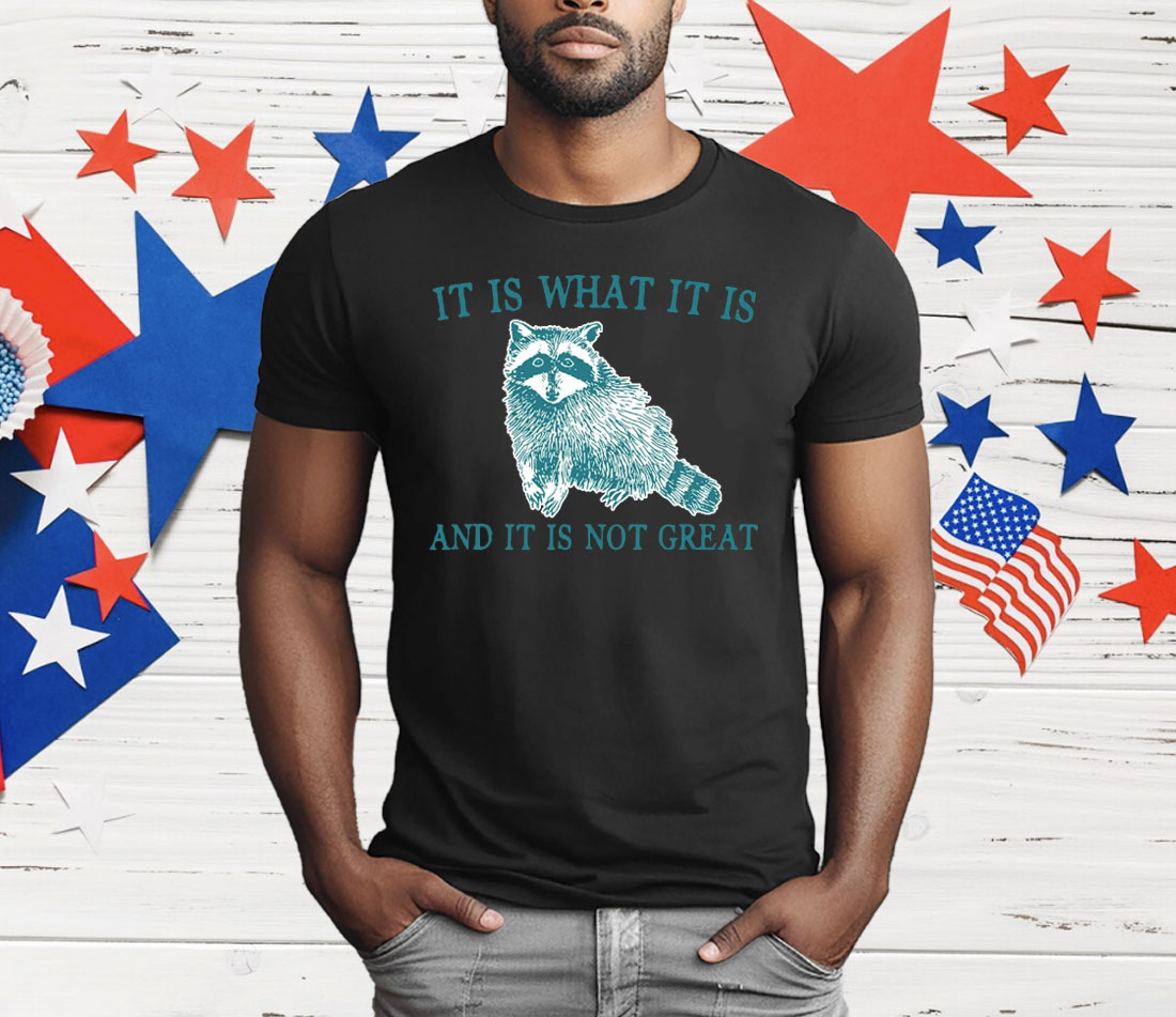 It Is What It Is Raccoon And It Is Not Great Artwork T-Shirt