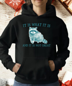 It Is What It Is Raccoon And It Is Not Great Artwork T-Shirt