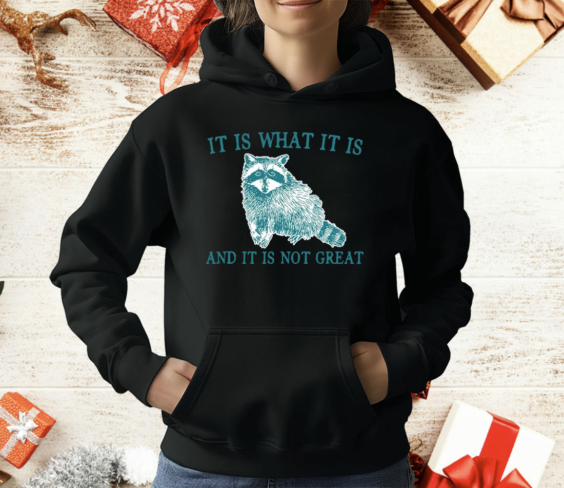 It Is What It Is Raccoon And It Is Not Great Artwork T-Shirt