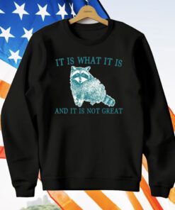 It Is What It Is Raccoon And It Is Not Great Artwork T-Shirt