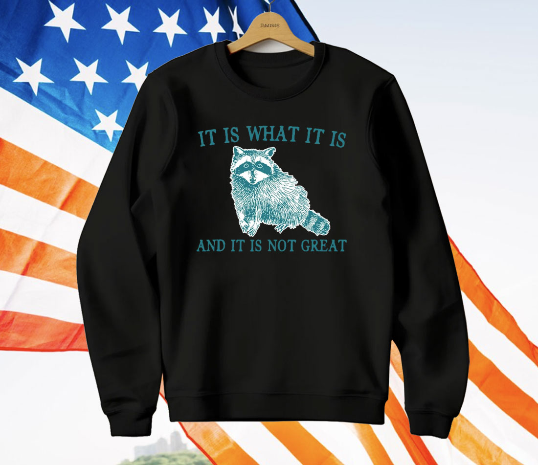 It Is What It Is Raccoon And It Is Not Great Artwork T-Shirt