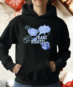 Trans Rights The T In CMAT Stands For Don’t Be A Bitch Okay T-Shirt