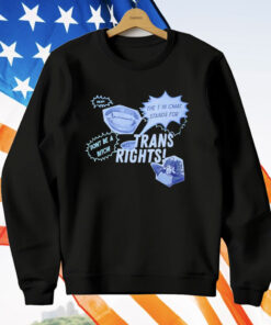 Trans Rights The T In CMAT Stands For Don’t Be A Bitch Okay T-Shirt